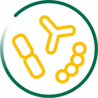 Probiotics Image