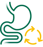 Digestion Symptom