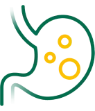 Digestion Symptom